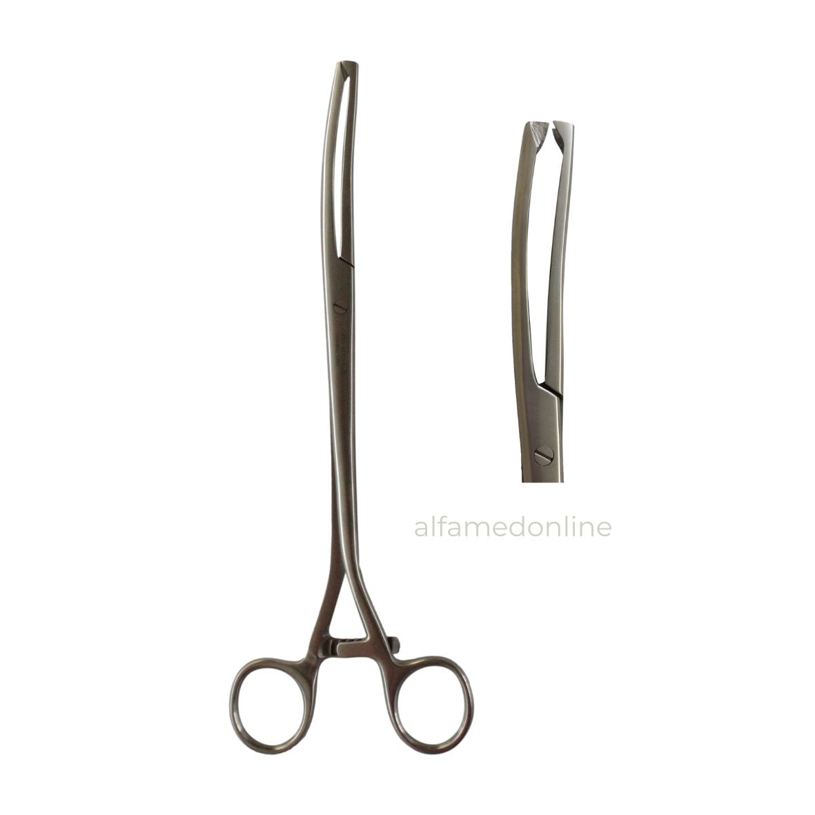 Pinza Museux Gruesa