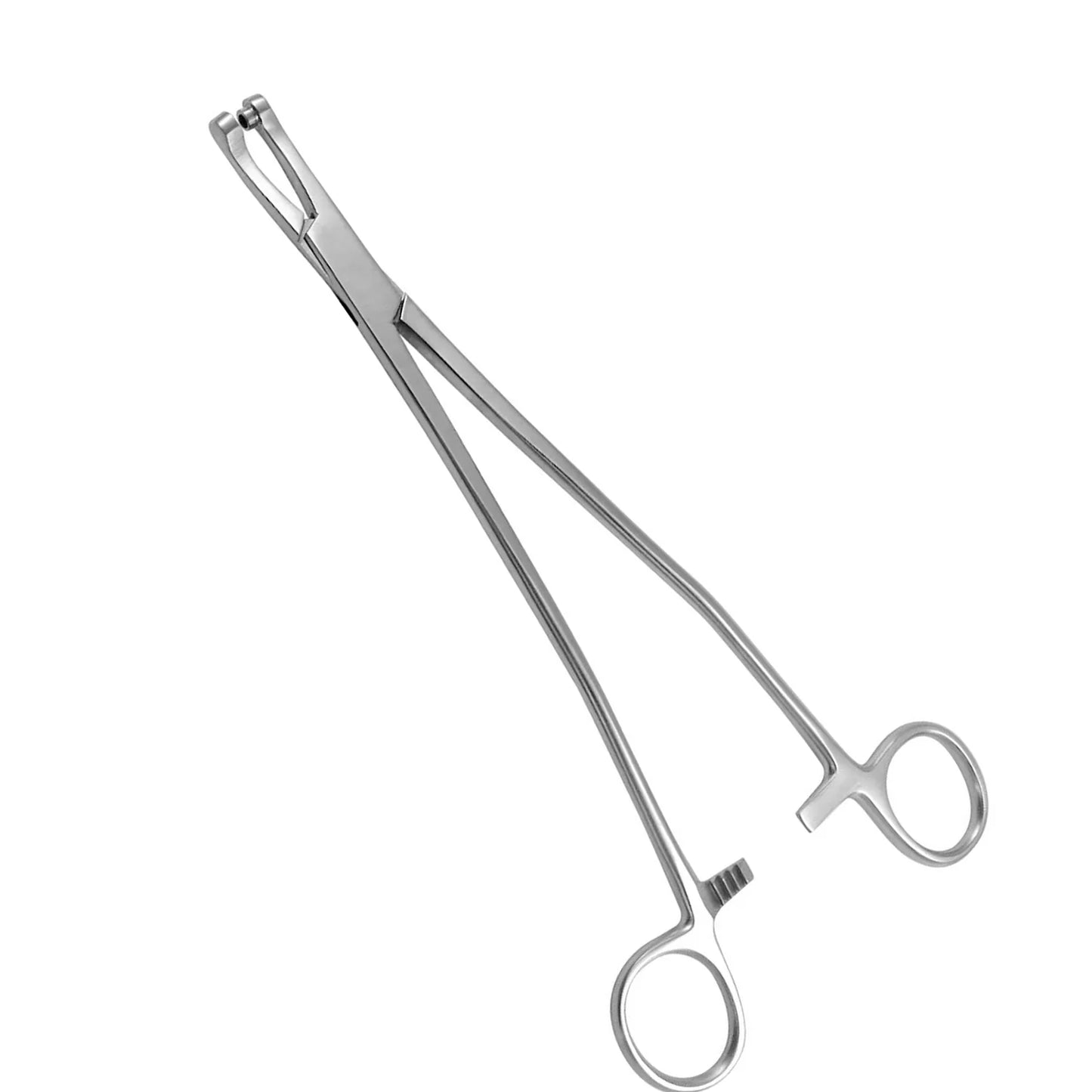 Pinza Thomas Gaylor
