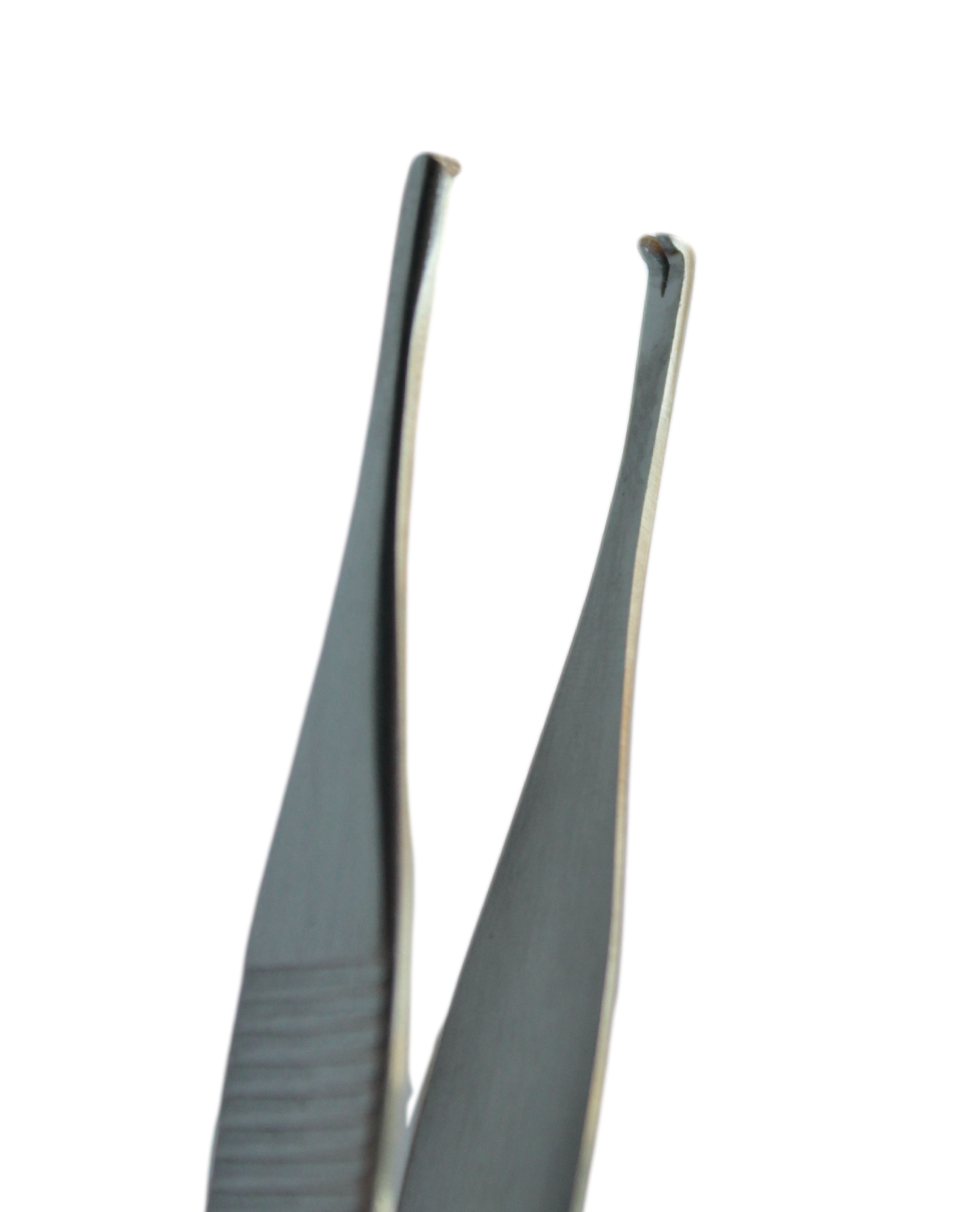 Pinza adson